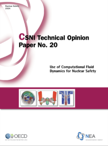 Use of Computational Fluid Dynamics for Nuclear Safety